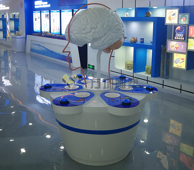 玻璃钢大脑设备模型