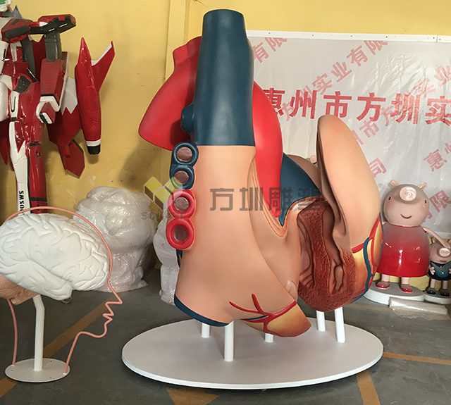 玻璃鋼人體(tǐ)器官心髒雕塑模型